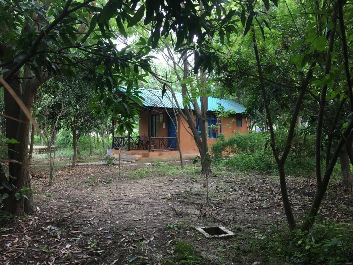 Hotel Camp Hornbill Corbett Ramnagar  Exteriér fotografie