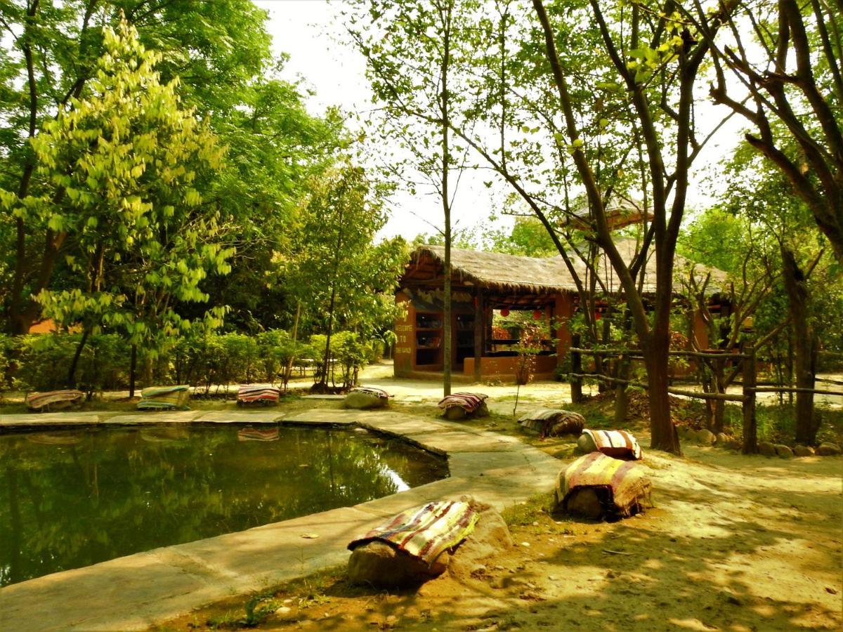 Hotel Camp Hornbill Corbett Ramnagar  Exteriér fotografie