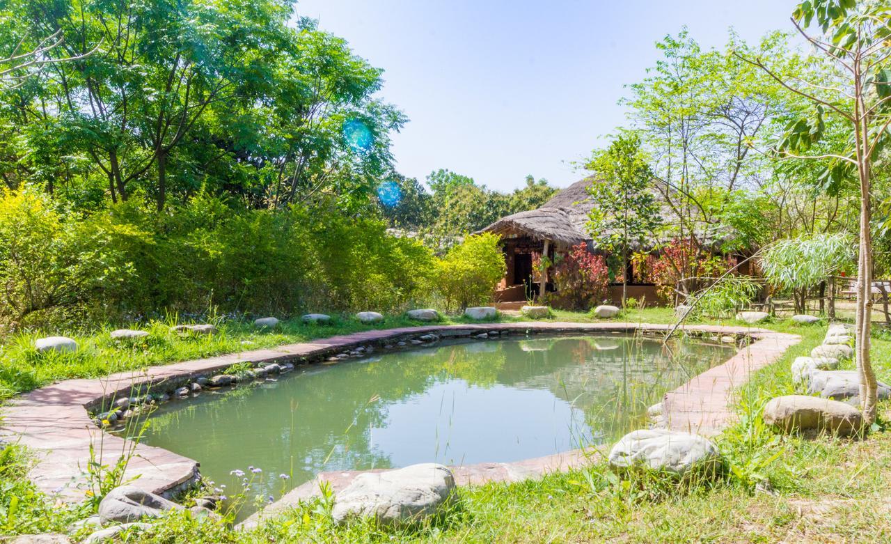 Hotel Camp Hornbill Corbett Ramnagar  Exteriér fotografie